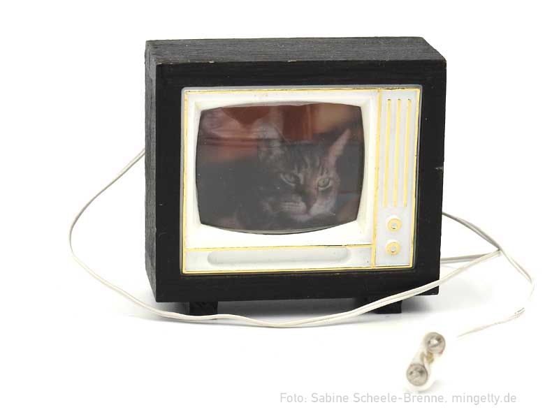 Fernseher mit schwarzem GehÃ¤use und Katzenprogramm